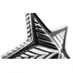 BIG DEPP STAR RING