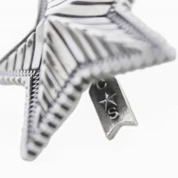 BIG DEPP STAR PENDANT WITH ARROW SPRING